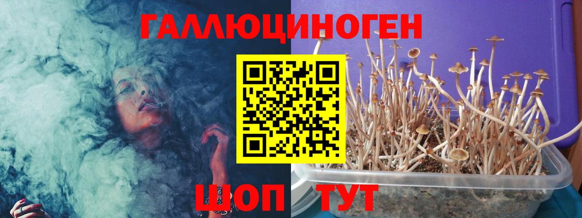 Галлюциногенные грибы ЛСД  Вход с VPN  Томск  Галлюциногенные грибы Cubensis 